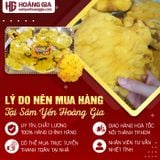 Nấm linh chi thượng hoàng Hàn Quốc khay 500g