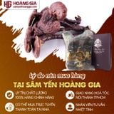 Nấm lim xanh rừng Lê Phúc Hoàng Gia Silver Class hộp 500gr