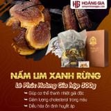 Nấm Lim Xanh Rừng Quảng Nam Hộp 500g Loại Phòng bệnh