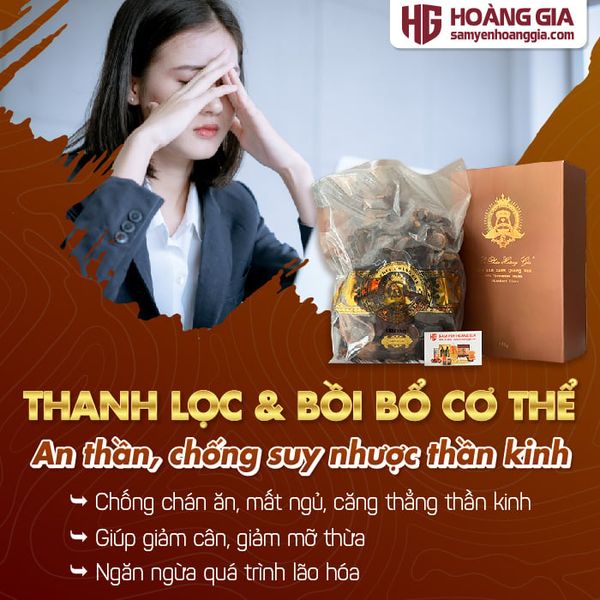 Nấm Lim Xanh Rừng Quảng Nam Hộp 500g Loại Phòng bệnh