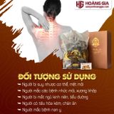 Nấm lim xanh rừng Quảng Nam hộp 500g Loại Phòng bệnh