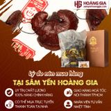 Nấm lim xanh rừng Quảng Nam hộp 500g Loại Phòng bệnh