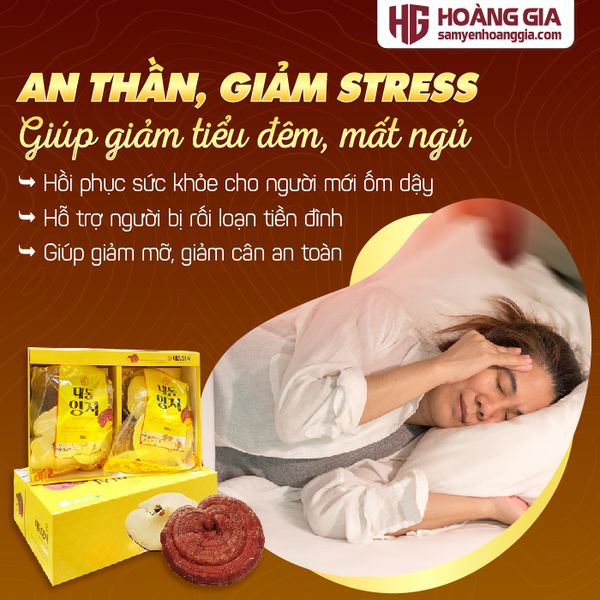 Nấm Linh Chi Nguyên Tai Imsil Hàn Quốc Hộp 1kg
