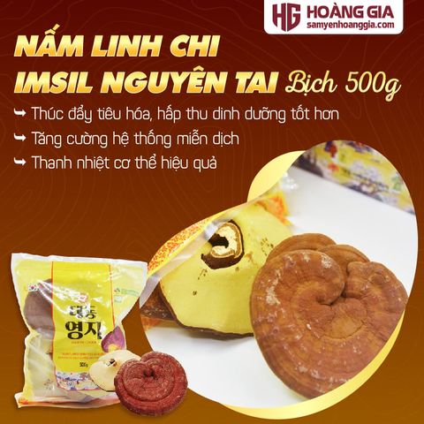 Nấm Linh Chi Nguyên Tai Imsil Hàn Quốc túi 500g