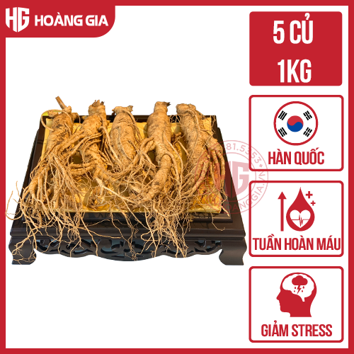 Sâm củ tươi Hàn Quốc 6 năm tuổi loại 5 củ 1 kg