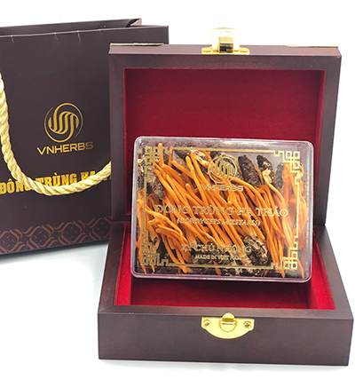 Đông trùng hạ thảo ký chủ nhộng VNherb hộp 40 con