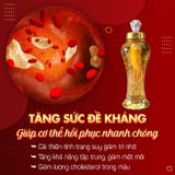 Rượu sâm tươi Hàn Quốc 6 năm tuổi 1 Lít 1 Củ