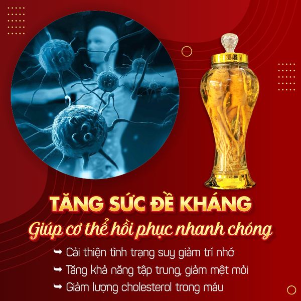 Rượu sâm tươi Hàn Quốc 6 năm tuổi 2 Lít 2 Củ