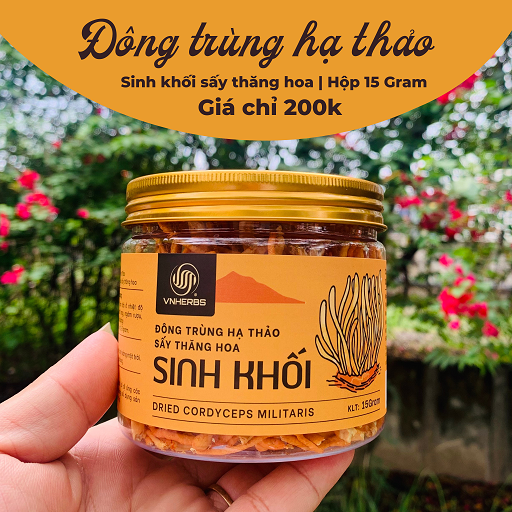 Đông Trùng Hạ Thảo sấy thăng hoa – Sinh khối 15 gram