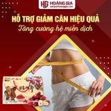 Táo đỏ Hàn Quốc sấy khô loại tốt hộp 1kg