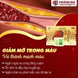 Trà Linh Chi Hàn Quốc 100 gói