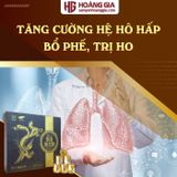 Viên Đông Trùng Hạ Thảo Phượng Hoàng Hộp Gỗ 30 Viên Hoàn