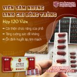 Viên hồng sâm nhung hươu linh chi đông trùng Hàn Quốc Daedong 120 viên