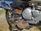  Giày Forma Adventure Low - Brown 