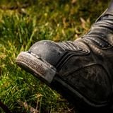  Giày FORMA Terra Evo - Brown 