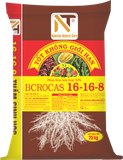  PHÂN BÓN HỖN HỢP NPK BCROCAS 16-16-8 