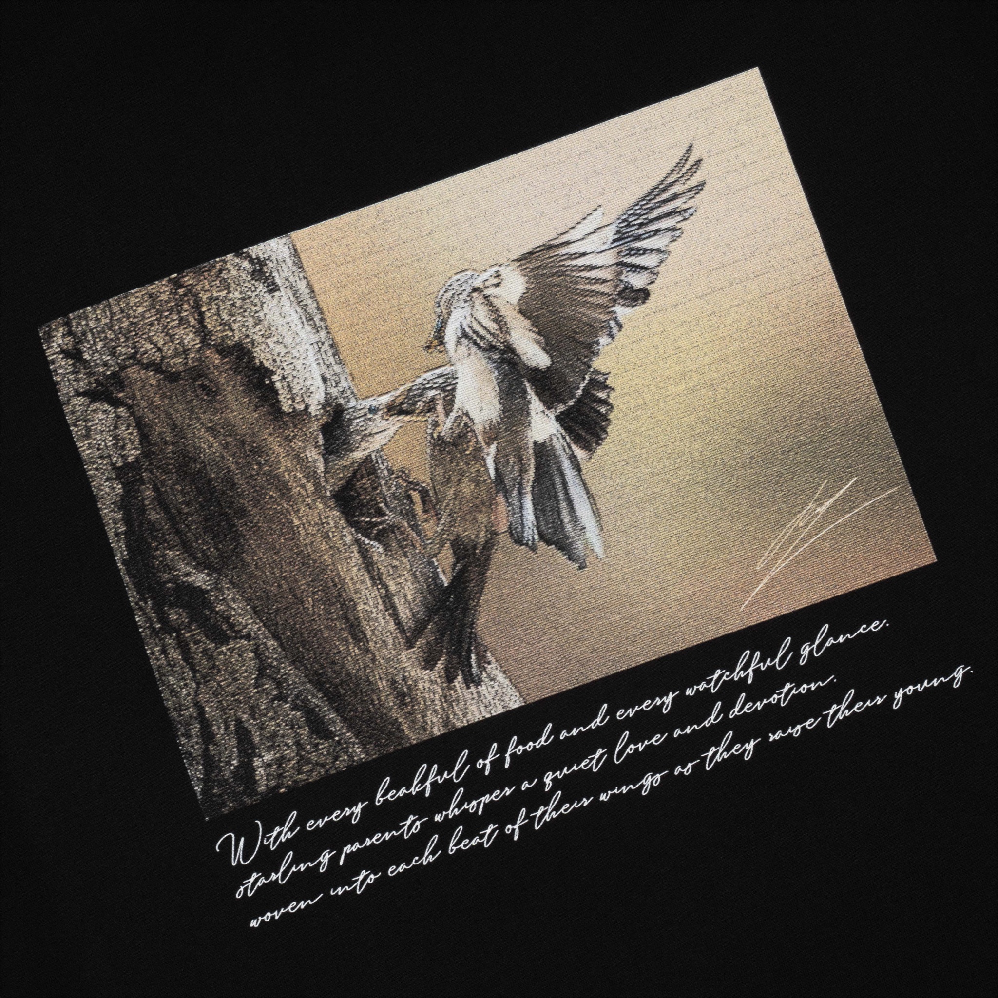 ao-thun-boxy-maverick-wings-of-wild || Black
