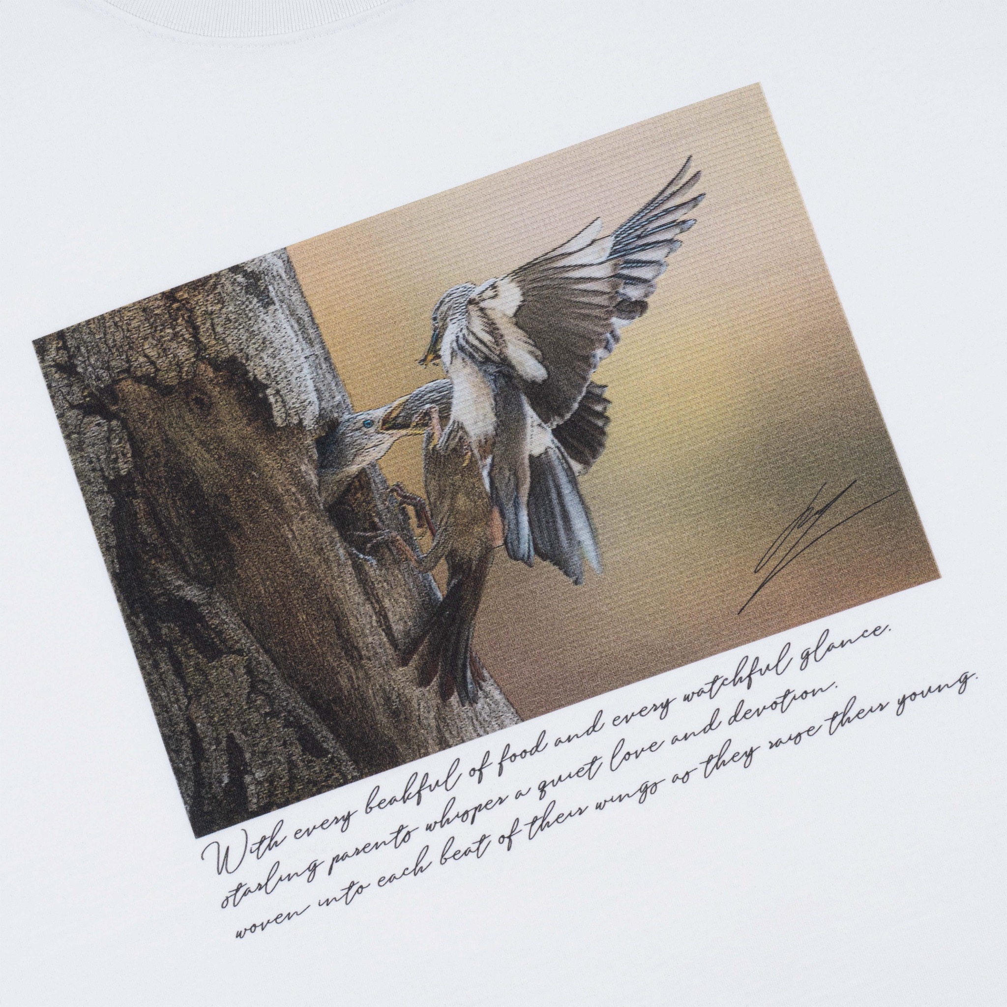ao-thun-boxy-maverick-wings-of-wild || White