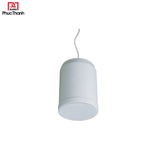  Pendant Speaker PSK-10C,  PSK-10P, PSK-20P 