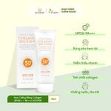  Kem Chống Nắng Collagen - Perfect Collagen Mild Line SPF50 + / PA +++ ECOTOP KCNCLG70 - 70ML 