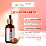  Serum Dưỡng Ẩm Ốc Sên Snail Repair ECOTOP SROS50 – 50ML 