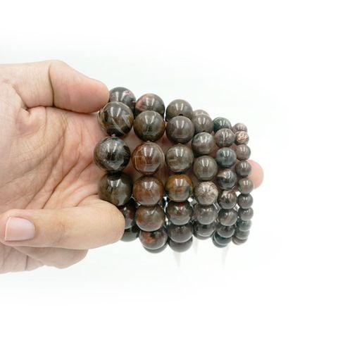 Vòng gỗ hóa thạch