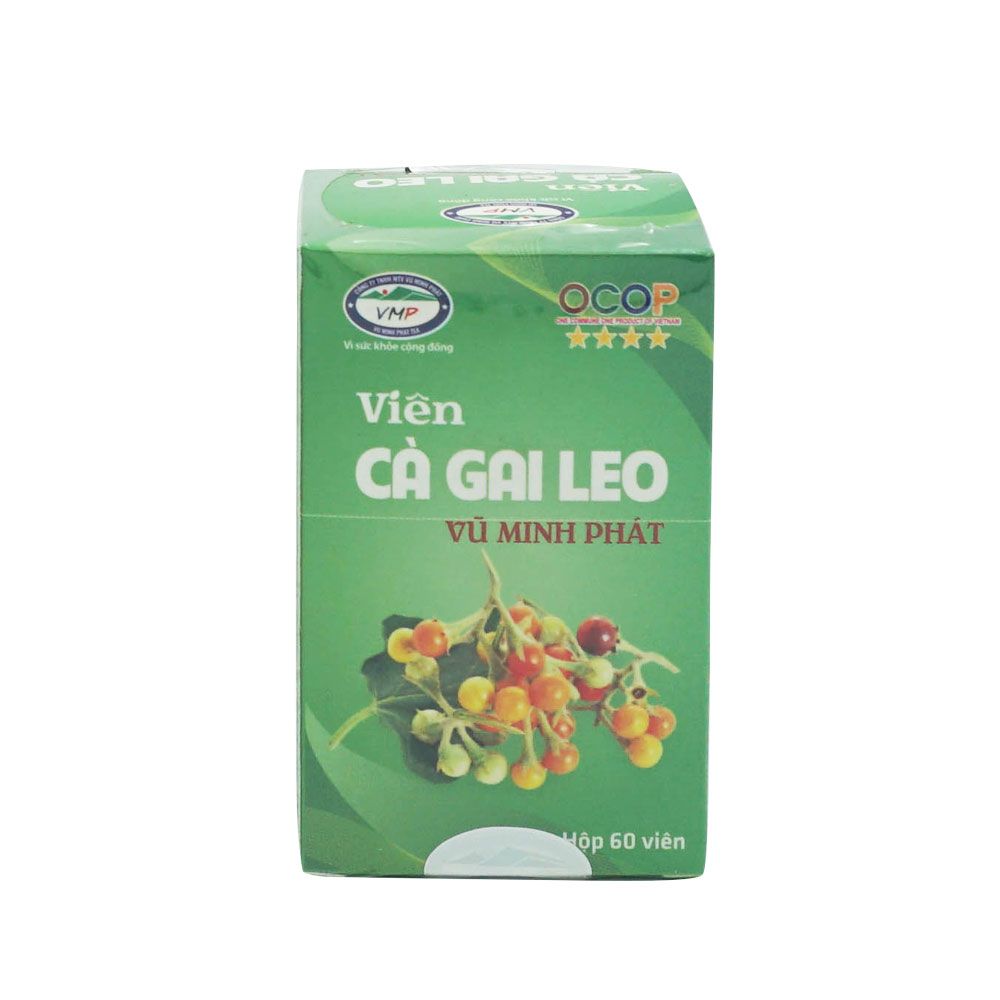  Viên cà gai leo 