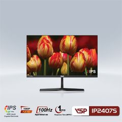MÀN HÌNH VSP IP2407S (23.8