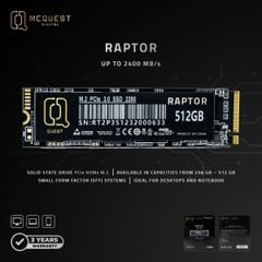 SSD MCQUEST RAPTOR 256Gb PCLE NVME M2 UP TO 2400MBs