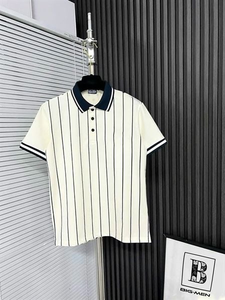 Áo thun polo big size vải cotton co giãn in lụa (mẫu 55)