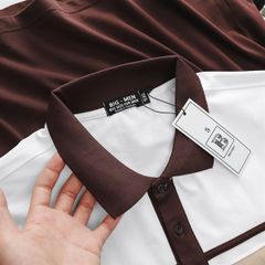 Áo thun polo phối màu sọc thời trang bigsize nam (mẫu 59)
