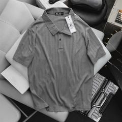 Áo polo chất vải dệt kim sang trọng bigsize nam< 140 kg