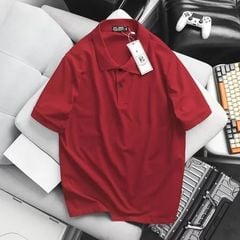 Áo thun polo bigsize nam trơn (mẫu 19)