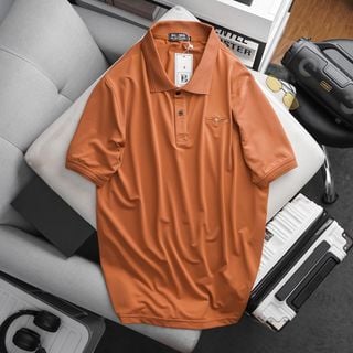 Áo thun polo nam big size vải cá sấu poly thêu đại bàng (mẫu 11)