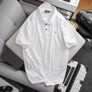 Áo thun polo nam big size vải cá sấu poly thêu đại bàng (mẫu 11)