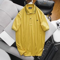 Áo thun polo nam big size tay ngắn có cổ thun Thái(mẫu 12)