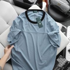 Áo thun big size unisex phối đường may, vải tổ ong mắt chim (Mẫu 20)