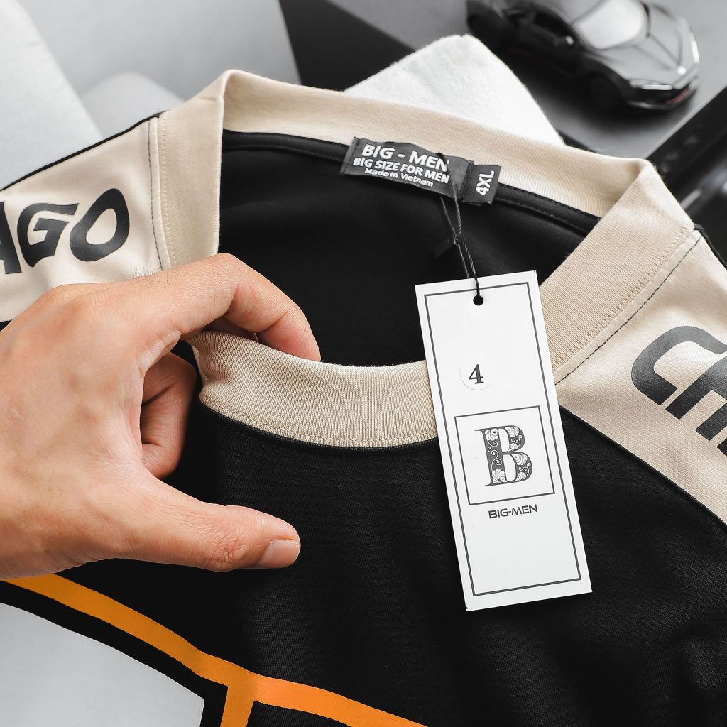 Áo thun cotton phối màu in chữ thời trang 77 (Mẫu 3)