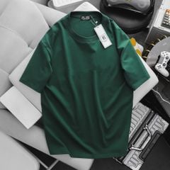 Áo thun, áo phông cotton trơn nhiều màu bigsize nam (Mẫu 15)