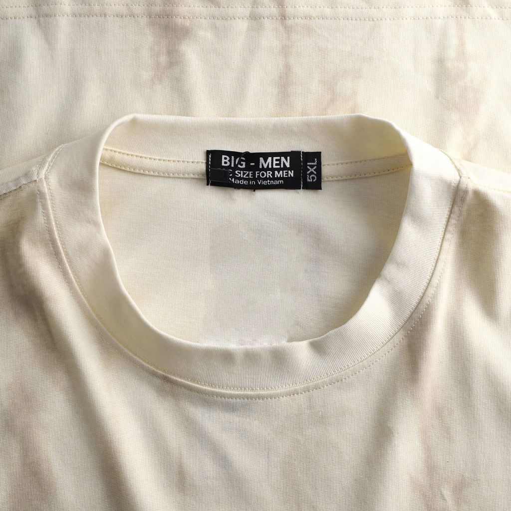 Áo thun chất vải cotton màu kem loàng màu độc lạ bigsize nam 85- 135 kg