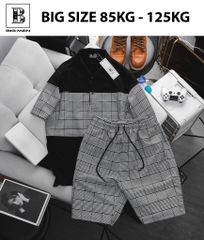 Set bộ polo chất vải umi phói caro thời trang bigsize nam 85- 130 kg