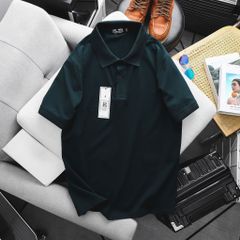 Áo thun polo trơn vải cotton 100% nam bigsize 80 - 130kg - polo2