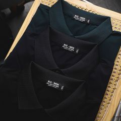 Áo thun polo trơn vải cotton 100% nam bigsize 80 - 130kg - polo2