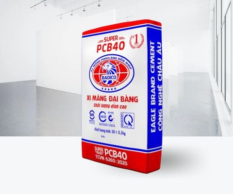  XI MĂNG ĐẠI BÀNG EU TECH 