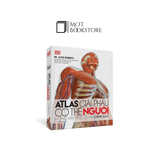 Atlas giải phẫu cơ thể người (Alice Roberts)