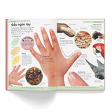 Bách Khoa Cho Trẻ Em - Bách Khoa Cơ Thể Người
