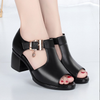 Giày thời trang cao cấp chính hãng đế cao 5 phân -  LD56