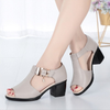 Giày thời trang cao cấp chính hãng đế cao 5 phân -  LD56