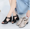 Giày thời trang cao cấp chính hãng đế cao 5 phân -  LD56