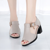 Giày thời trang cao cấp chính hãng đế cao 5 phân -  LD56